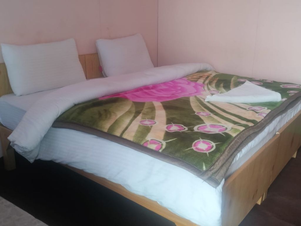 Room with green blanket